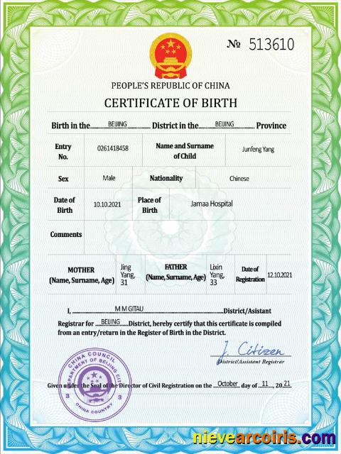 China vital record birth certificate